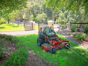 Mowing and Growing Pic 3