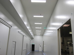 T&M Property Services Pic 2 - Commercial painting at Pro Biotics Laverton