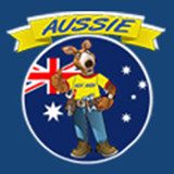 Aussie Plumbing Services Pic 5