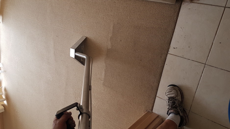 Relfection Cleaning And Property Services Pic 1 - Carpet steam cleaning