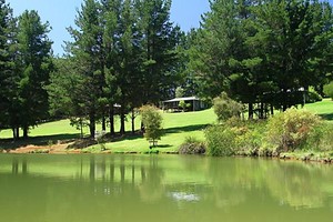 Hawke Brook Chalets Pic 4 - Lake View