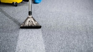 711 Carpet Cleaning Bondi Pic 2