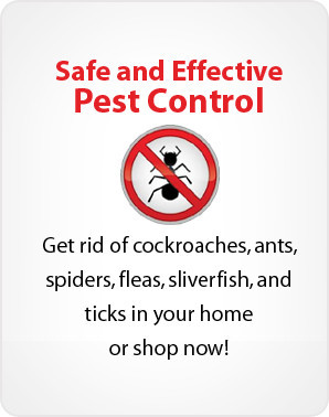 PE Express Pest Control Pic 1