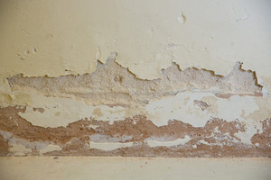 Tech-Dry SA Pic 4 - Salt crystals below the surface cause plaster to blister and bubble and bricks and stones to erode