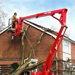 Henshaws Tree Service Pic 5