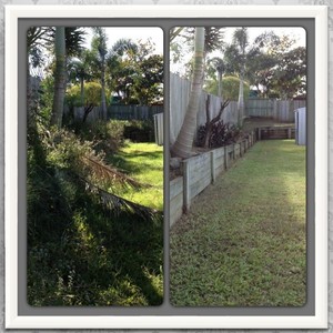 CJ's Lawns & More Pic 4 - Before and After Garden Tidy Up