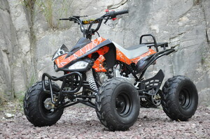 Happy Jackson's Pocket Bikes Dirt Bikes Quads Pic 4