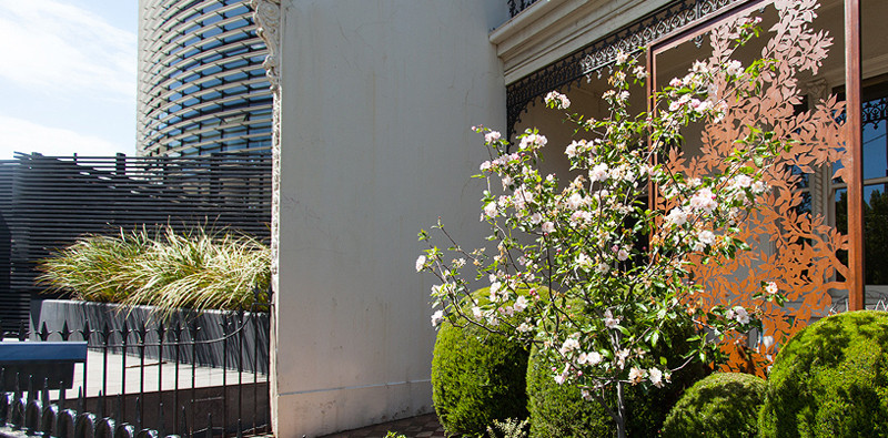 Boodle Concepts Pic 1 - Australiana steel privacy screen in rust finish Victorian Terrace in Melbourne Garden design by Boodle Concepts Landscaping