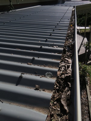 Full Force Gutter Vacuum Pic 4 - Gutters Full