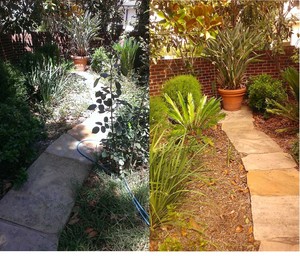 The Weed Queen Pic 2 - Before and after weeding and garden tidyup