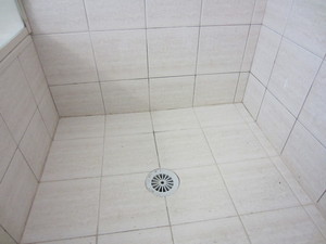 SHOWER CRAFT Pic 4