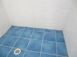 SHOWER CRAFT Pic 2