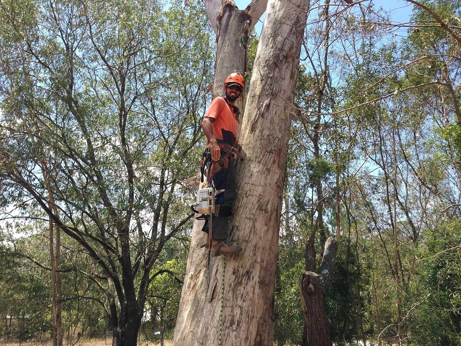 Ecological Tree Services Pic 1