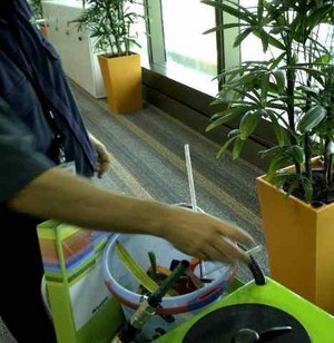 Action Indoor Plant Hire Pic 5 - Servicing plants in Brisbane