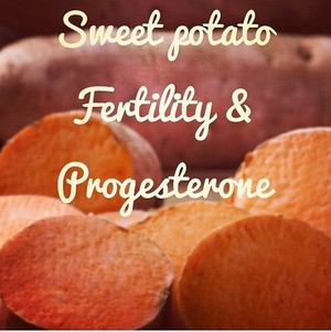 The Birthing Webb Pic 4 - Sweet Potato is packed with Progesterone aiding with fertility