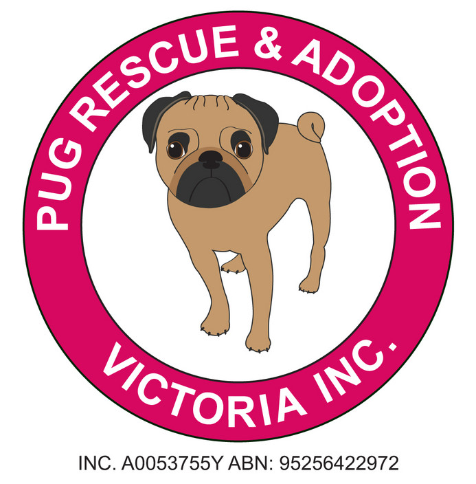 PUG RESCUE & ADOPTION VICTORIA INC Pic 1 - helping all pugs in need