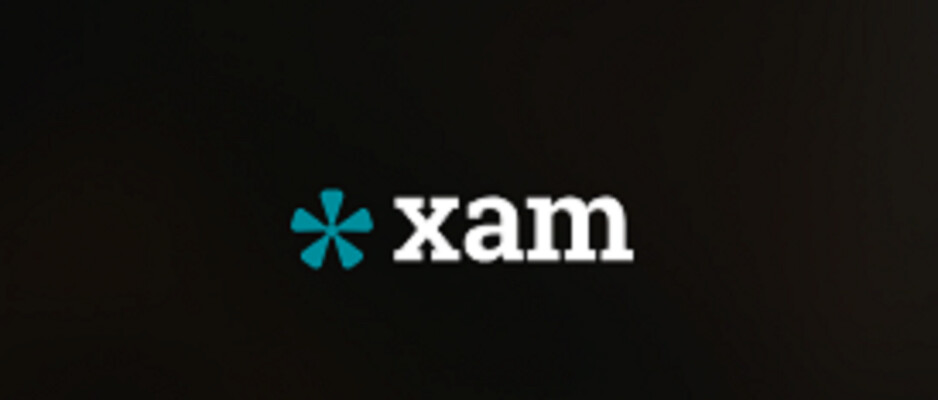 Xam Consulting Pic 1