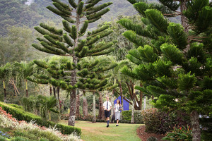 Peace Lutheran College Pic 3 - Peace Lutheran College Grounds