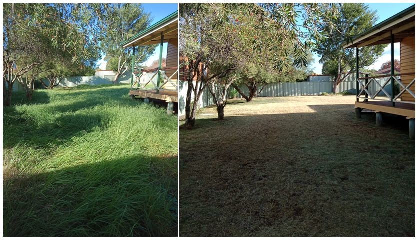 Good To Mow Toowoomba Pic 1 - Mowing Toowoomba with Good To Mow