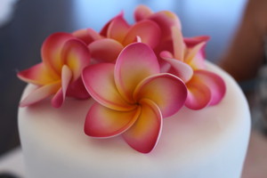 Purely Indulgent Cakes Pic 3