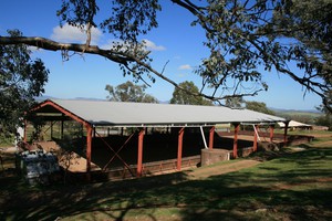 St George Horse Centre Pic 2