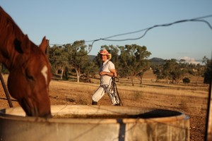 St George Horse Centre Pic 4 - days end