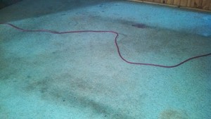 A-Zoom Carpet Care & Pest Management Pic 2 - This carpet was not maintained simple vacuuming and careless spills but we managed to bring it back to a very acceptable finish with our techniques and professional approach