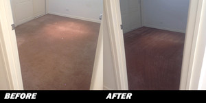 Carpet Clinik Pic 2 - Carpet Cleaning Melbourne