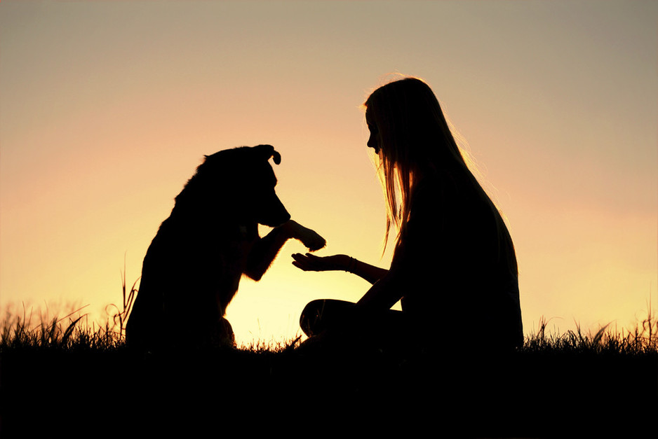 Pets And Their People - Unley Veterinary Surgery Pic 1