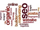 HubSite Builder Pic 2 - Build organic SEO search engine optimisation into your blog posts to get some search engine love