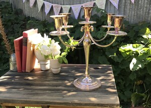 Vintage Shell Bell - Barossa Vintage Wedding Hire / Party Hire & High Tea Hire Pic 3