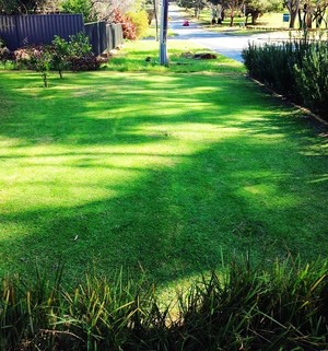 Five Star Lawns & Gardening Pic 4 - Lawn Care Fertilizing Wetting Agents