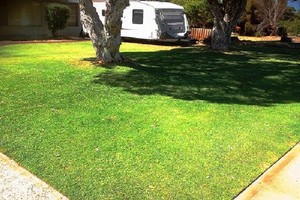 Five Star Lawns & Gardening Pic 3 - Nice Straight Edges