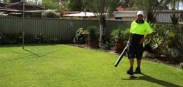 Five Star Lawns & Gardening Pic 1 - Residential Lawn Mowing