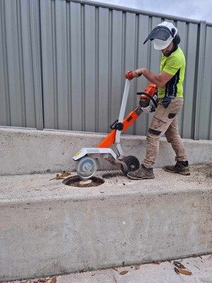 Ultimate Stump Grinding Pic 3