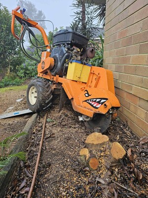 Ultimate Stump Grinding Pic 2