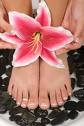 Ashgrove Nail & Beauty Pic 4 - feet treatments