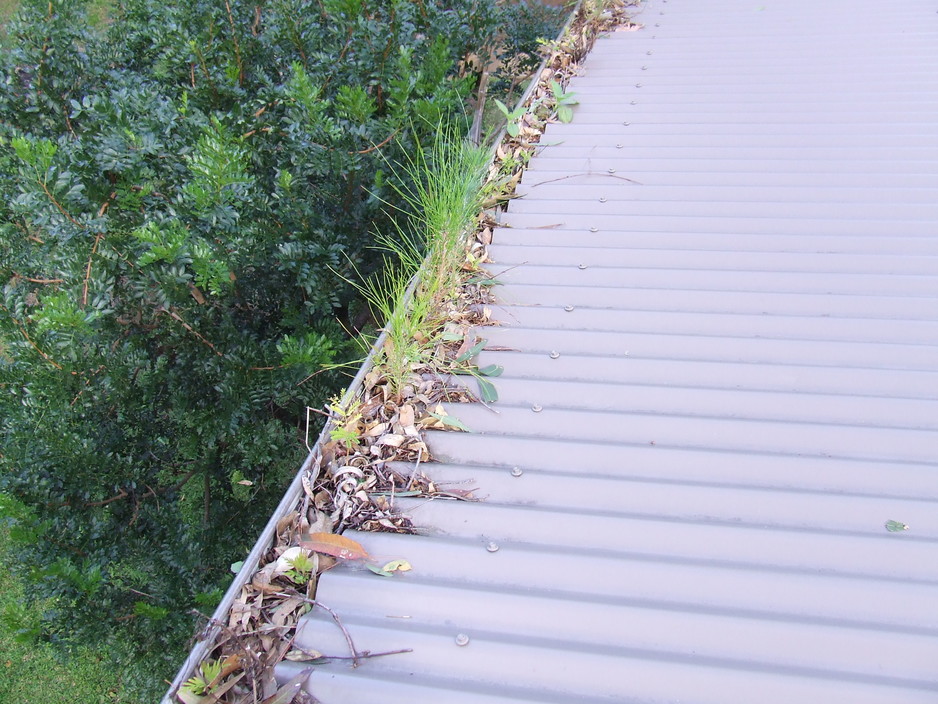 We Clean Gutters Pic 1 - Block gutters can void your home insurance