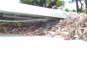 We Clean Gutters Pic 5 - Debris under solar panels can be a fire hazard