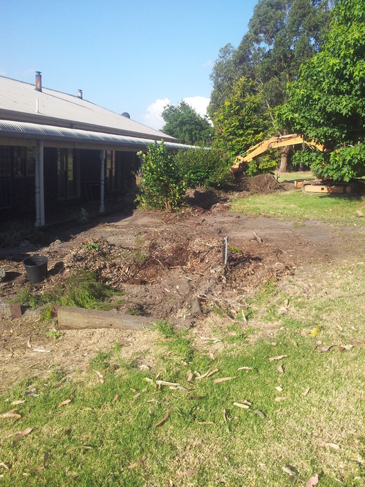 Scotts Excavations Pic 1 - Cleaning up an old Garden Bed