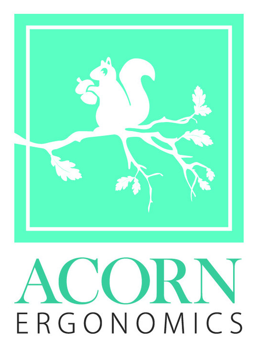 Acorn Ergonomics Pic 1 - Acorn Childrens Ergonomic Furniture