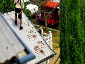 Gutter-Vac Tasmania Pic 3 - Call us for your Vacuum Gutter Cleaning Quote today