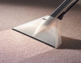 Budget Clean Pic 3 - carpetcleaningepping