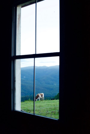 Providence Farm Hall Pic 5 - View through window at farm wedding venue Beechmont Queensland