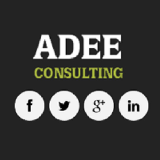 ADEE Consulting Pic 1