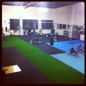 High Performance Fitness Pic 3