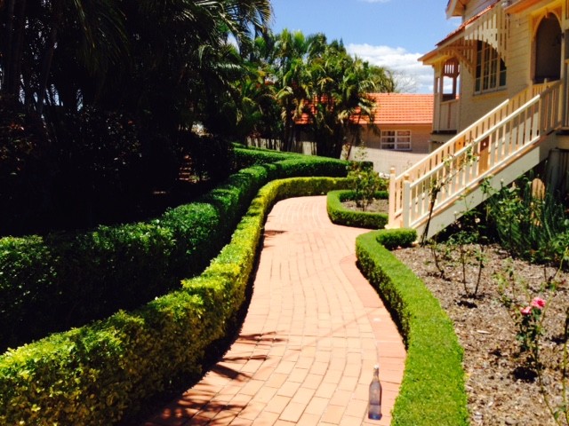 Garden Express Pic 1 - Manicured hedges with attention to detail