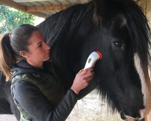 Photizo Australia - Red Light Therapy Devices Pic 4 - Red Light Therapy For Horses