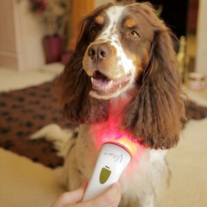 Photizo Australia - Red Light Therapy Devices Pic 5 - Red Light Therapy for Dogs