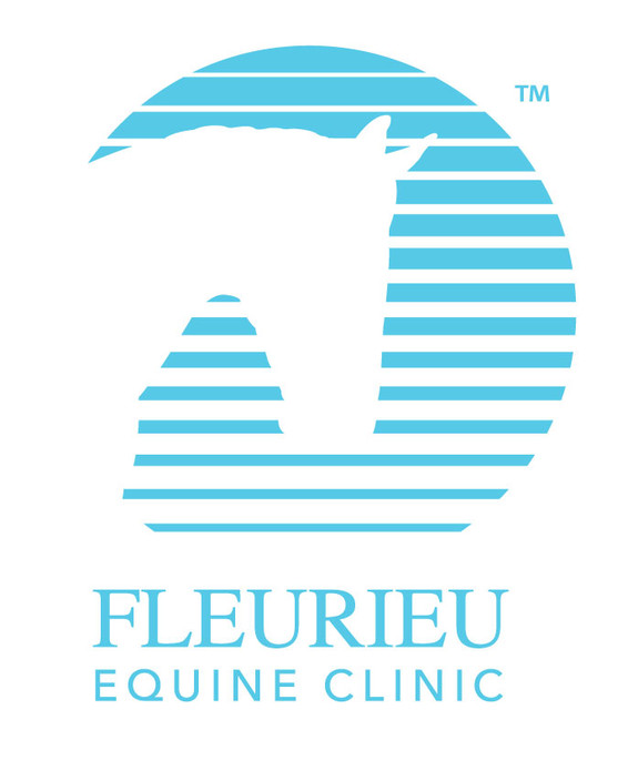 Fleurieu Equine Clinic Pic 1 - Fleurieu Equine Clinic logo